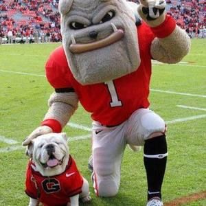 Meet your Posher, Lynn